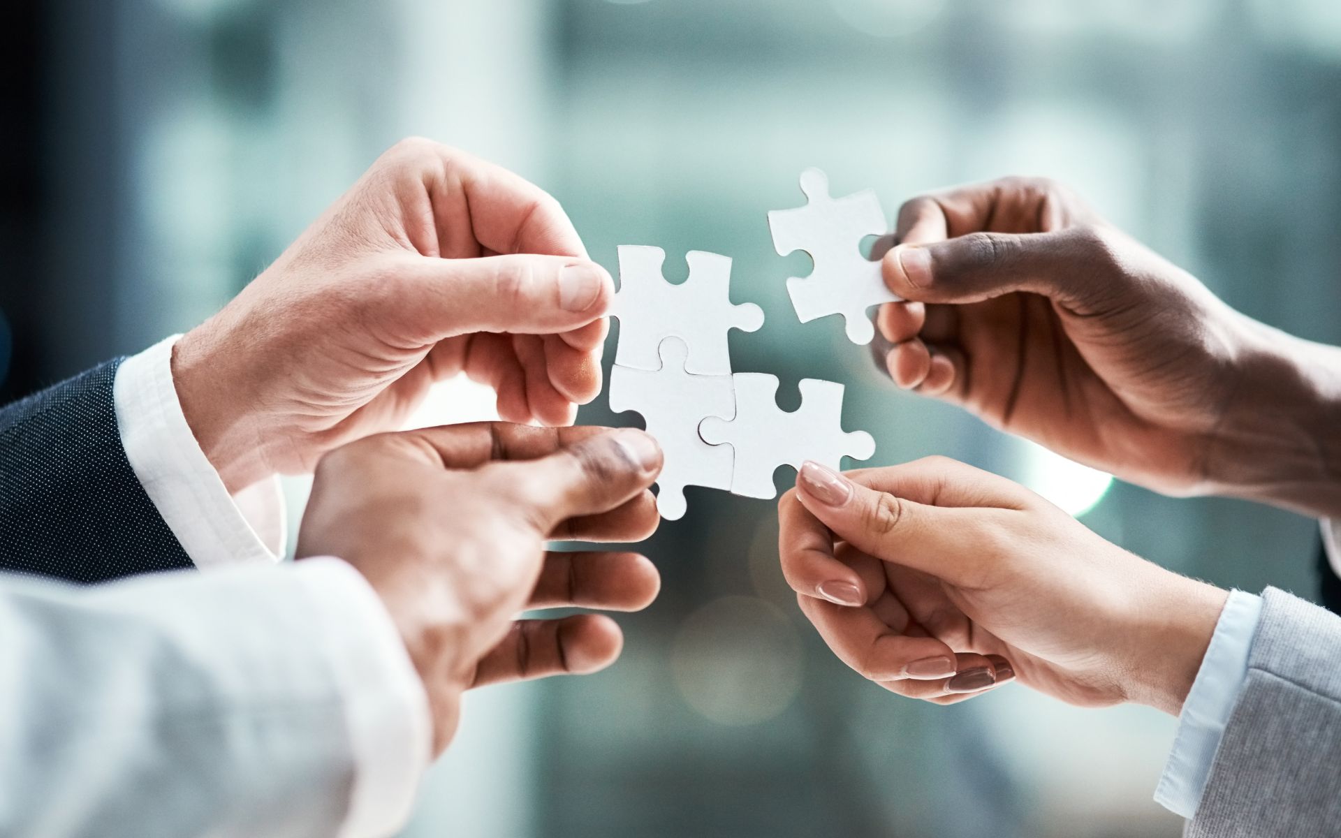 A highly skilled and diverse team of professionals