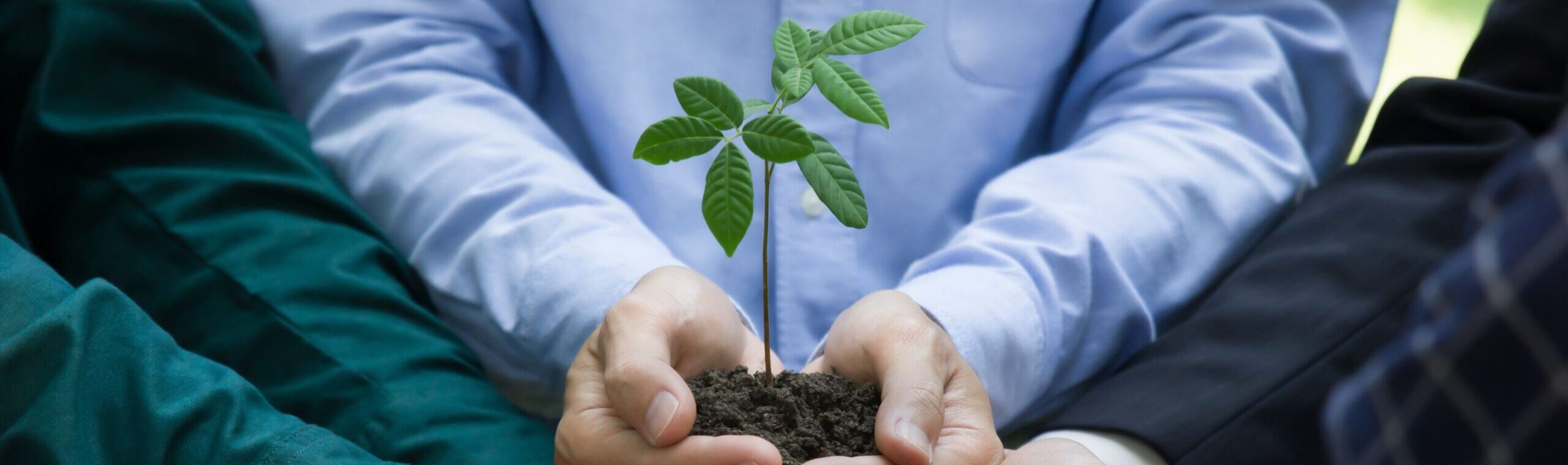 Implementing ESG and sustainability is strategic